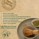 Organic Nation Matcha Burn-20Serv.-20Packs