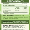 Organic Nation Moringa Oleifera-60Servings-60 Capsules