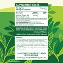 Organic Nation Matcha Premium Green Tea-60Serv.-60 Capsules