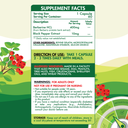 Organic Nation Berberine-60Serv.-60Caps.