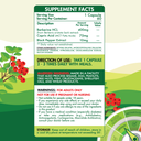 Organic Nation Berberine-60Serv.-60Caps.